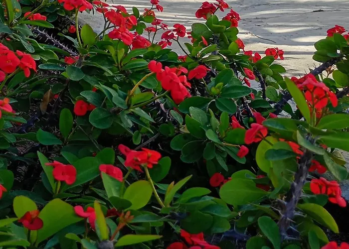 Pousada Vale EncantadoPousada