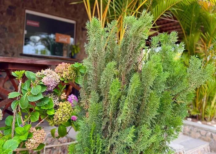 Pousada Vale EncantadoPousada